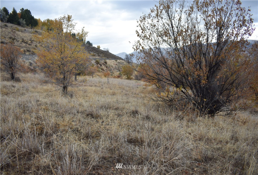 0 tbd Omak River, Omak, Washington 98841, ,Land,For Sale,tbd Omak River,NWM1856389