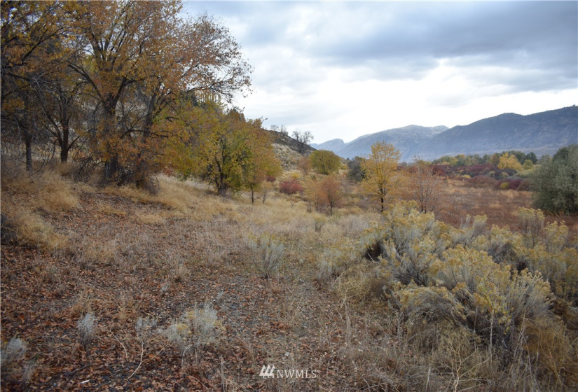 0 tbd Omak River, Omak, Washington 98841, ,Land,For Sale,tbd Omak River,NWM1856389