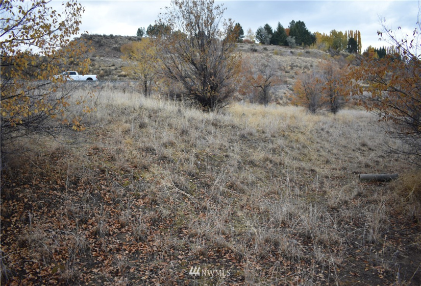 0 tbd Omak River, Omak, Washington 98841, ,Land,For Sale,tbd Omak River,NWM1856389