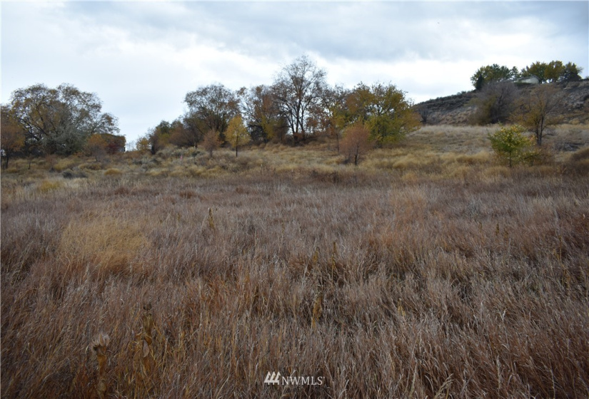 0 tbd Omak River, Omak, Washington 98841, ,Land,For Sale,tbd Omak River,NWM1856389