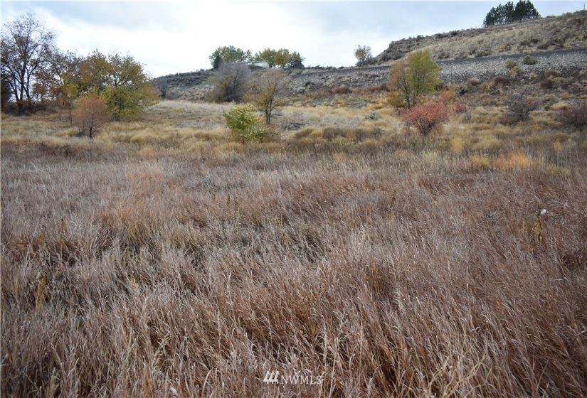 0 tbd Omak River, Omak, Washington 98841, ,Land,For Sale,tbd Omak River,NWM1856389