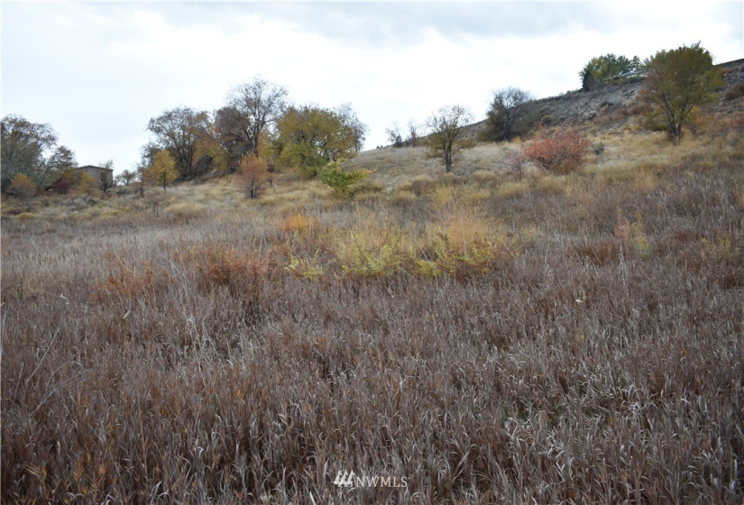 0 tbd Omak River, Omak, Washington 98841, ,Land,For Sale,tbd Omak River,NWM1856389