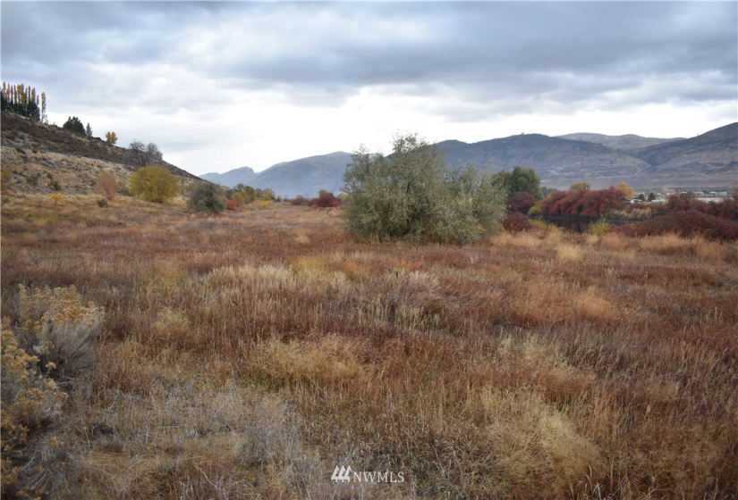 0 tbd Omak River, Omak, Washington 98841, ,Land,For Sale,tbd Omak River,NWM1856389