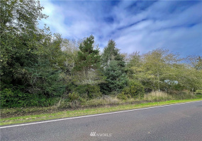 347 353 Duck Lake, Ocean Shores, Washington 98569, ,Land,For Sale,23,Duck Lake,NWM1856481