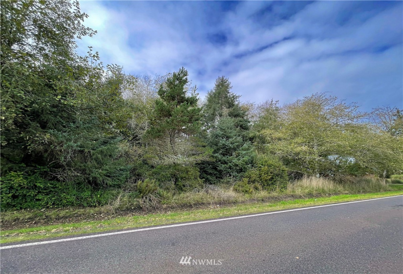 347 353 Duck Lake, Ocean Shores, Washington 98569, ,Land,For Sale,23,Duck Lake,NWM1856481