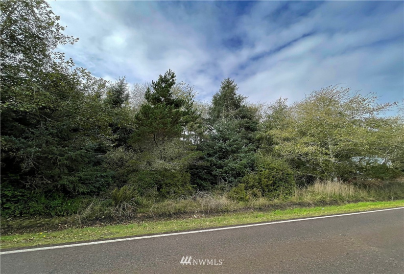 347 353 Duck Lake, Ocean Shores, Washington 98569, ,Land,For Sale,23,Duck Lake,NWM1856481