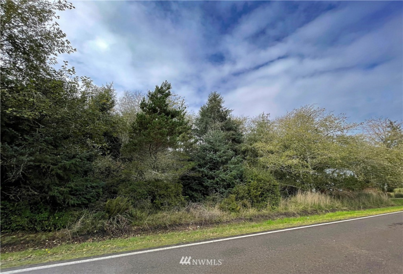347 353 Duck Lake, Ocean Shores, Washington 98569, ,Land,For Sale,23,Duck Lake,NWM1856481