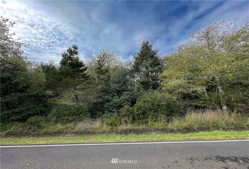 347 353 Duck Lake, Ocean Shores, Washington 98569, ,Land,For Sale,23,Duck Lake,NWM1856481
