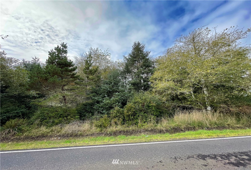 347 353 Duck Lake, Ocean Shores, Washington 98569, ,Land,For Sale,23,Duck Lake,NWM1856481