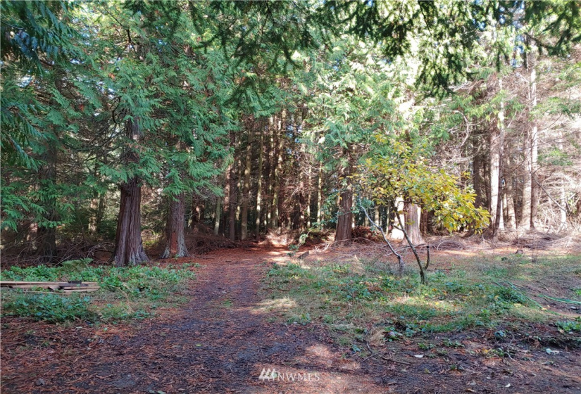 15617 State Route 20, Coupeville, Washington 98239, ,Land,For Sale,Metes & Bounds,State Route 20,NWM1856439