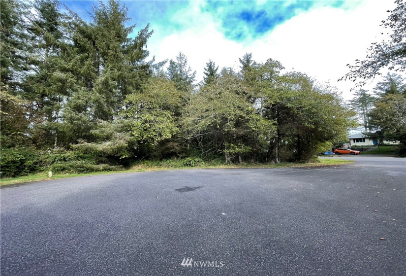 768 Sandpiper, Ocean Shores, Washington 98569, ,Land,For Sale,21,Sandpiper,NWM1856549