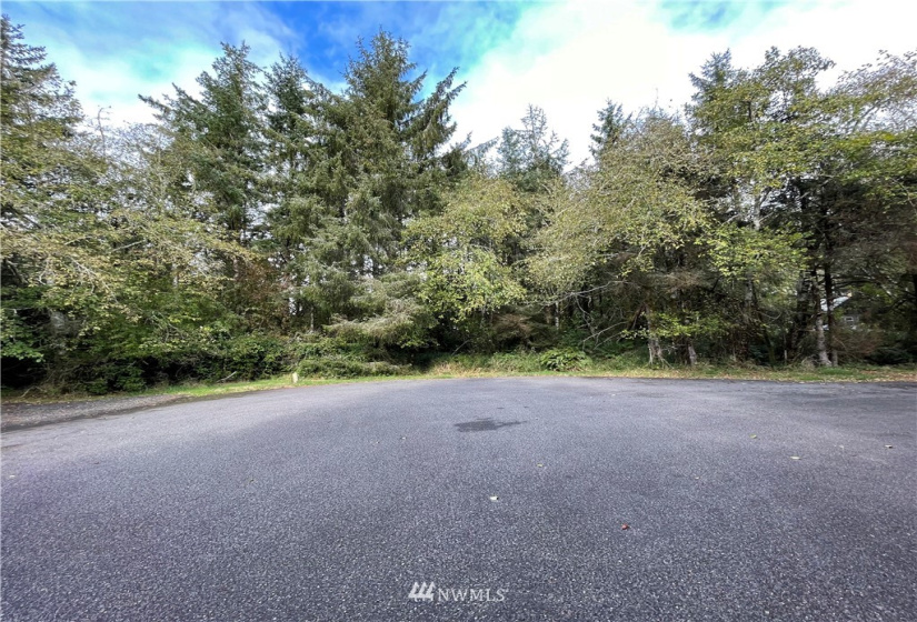 768 Sandpiper, Ocean Shores, Washington 98569, ,Land,For Sale,21,Sandpiper,NWM1856549