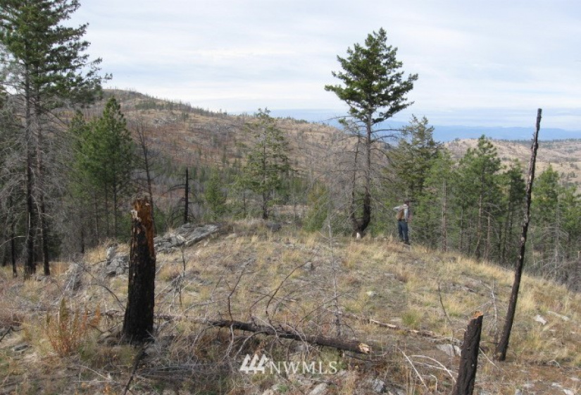 0 TBD Evan's Ranch, Riverside, Washington 98849, ,Land,For Sale,TBD Evan's Ranch,NWM1856446