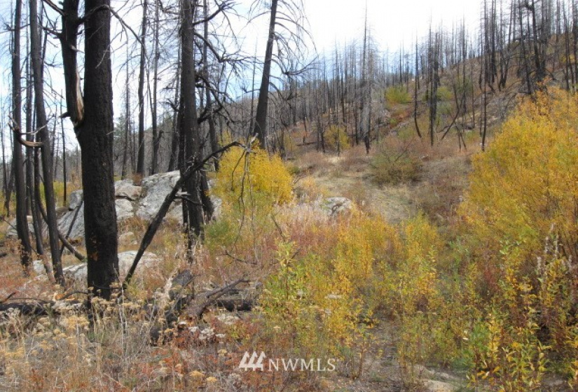 0 TBD Evan's Ranch, Riverside, Washington 98849, ,Land,For Sale,TBD Evan's Ranch,NWM1856446