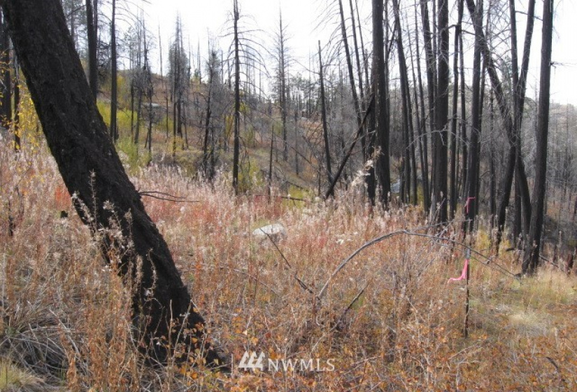 0 TBD Evan's Ranch, Riverside, Washington 98849, ,Land,For Sale,TBD Evan's Ranch,NWM1856446