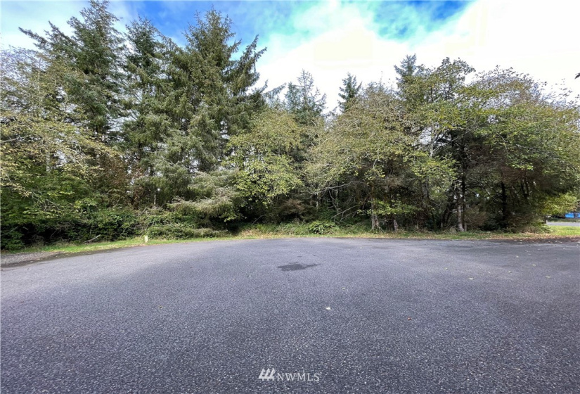 765 Duck Lake, Ocean Shores, Washington 98569, ,Land,For Sale,21,Duck Lake,NWM1856567