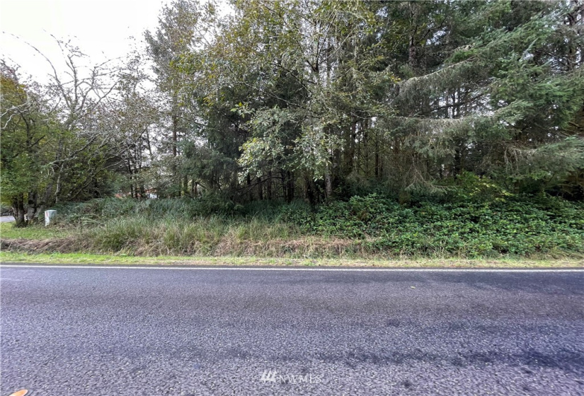 765 Duck Lake, Ocean Shores, Washington 98569, ,Land,For Sale,21,Duck Lake,NWM1856567