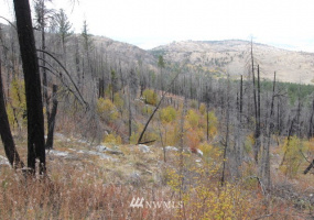 0 TBD Evan's Ranch, Riverside, Washington 98849, ,Land,For Sale,TBD Evan's Ranch,NWM1856578