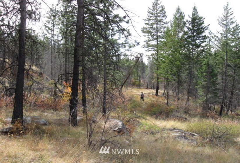 0 TBD Evan's Ranch, Riverside, Washington 98849, ,Land,For Sale,TBD Evan's Ranch,NWM1856578