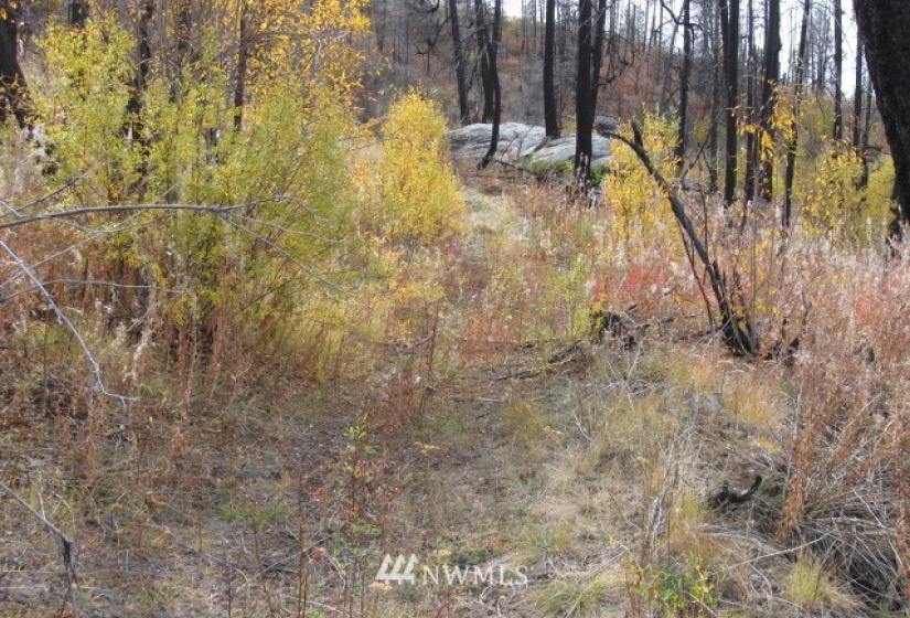 0 TBD Evan's Ranch, Riverside, Washington 98849, ,Land,For Sale,TBD Evan's Ranch,NWM1856578
