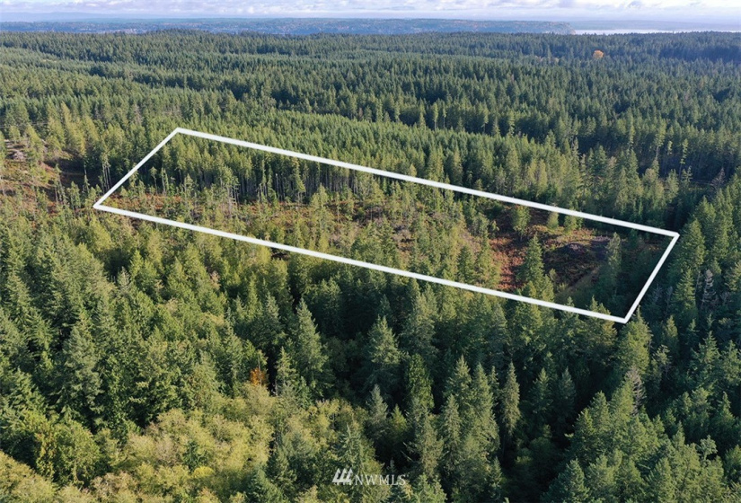2761 Silent Cedars, Langley, Washington 98260, ,Land,For Sale,Silent Cedars,NWM1852463