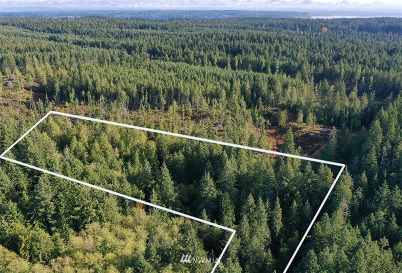 2761 Silent Cedars, Langley, Washington 98260, ,Land,For Sale,Silent Cedars,NWM1852463