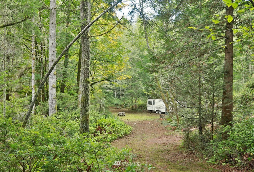 2761 Silent Cedars, Langley, Washington 98260, ,Land,For Sale,Silent Cedars,NWM1852463