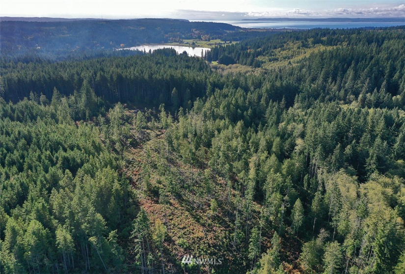 2761 Silent Cedars, Langley, Washington 98260, ,Land,For Sale,Silent Cedars,NWM1852463