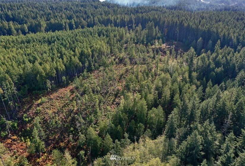 2761 Silent Cedars, Langley, Washington 98260, ,Land,For Sale,Silent Cedars,NWM1852463