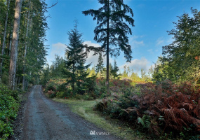 2761 Silent Cedars, Langley, Washington 98260, ,Land,For Sale,Silent Cedars,NWM1852463