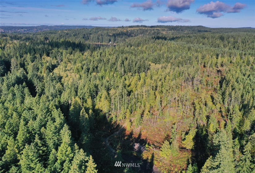 2761 Silent Cedars, Langley, Washington 98260, ,Land,For Sale,Silent Cedars,NWM1852463