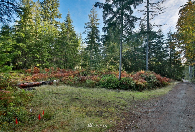2761 Silent Cedars, Langley, Washington 98260, ,Land,For Sale,Silent Cedars,NWM1852463