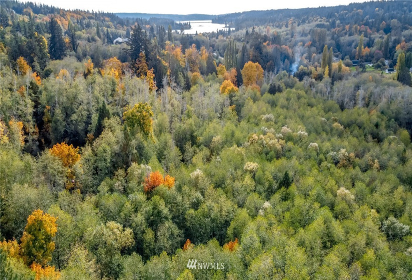 13863 Maple, Port Orchard, Washington 98367, ,Land,For Sale,4859 - Burley,Maple,NWM1852026
