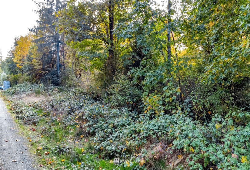 13863 Maple, Port Orchard, Washington 98367, ,Land,For Sale,4859 - Burley,Maple,NWM1852026
