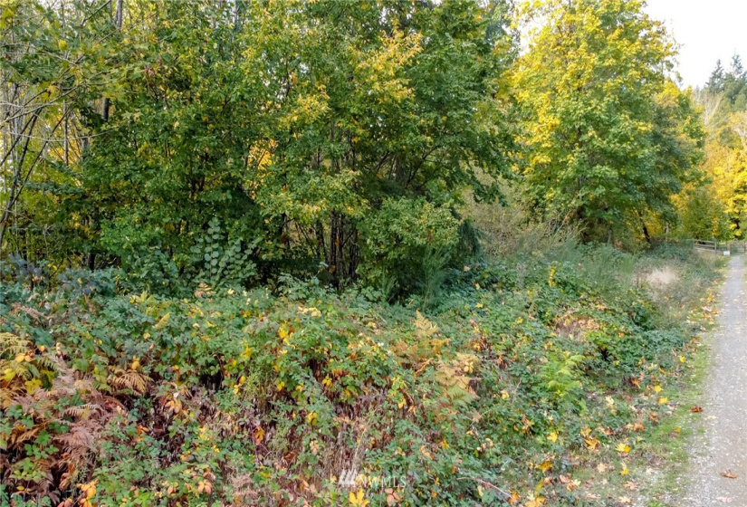 13863 Maple, Port Orchard, Washington 98367, ,Land,For Sale,4859 - Burley,Maple,NWM1852026