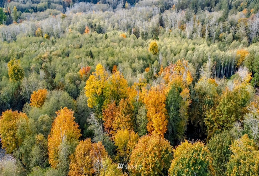 13863 Maple, Port Orchard, Washington 98367, ,Land,For Sale,4859 - Burley,Maple,NWM1852026
