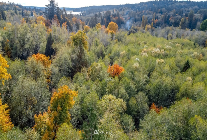 13863 Maple, Port Orchard, Washington 98367, ,Land,For Sale,4859 - Burley,Maple,NWM1852026