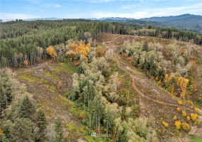 0 Bloomhardt, Raymond, Washington 98577, ,Land,For Sale,Bloomhardt,NWM1855788