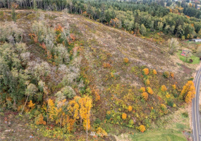 1941 Bloomhardt, Raymond, Washington 98577, ,Land,For Sale,Bloomhardt,NWM1855785