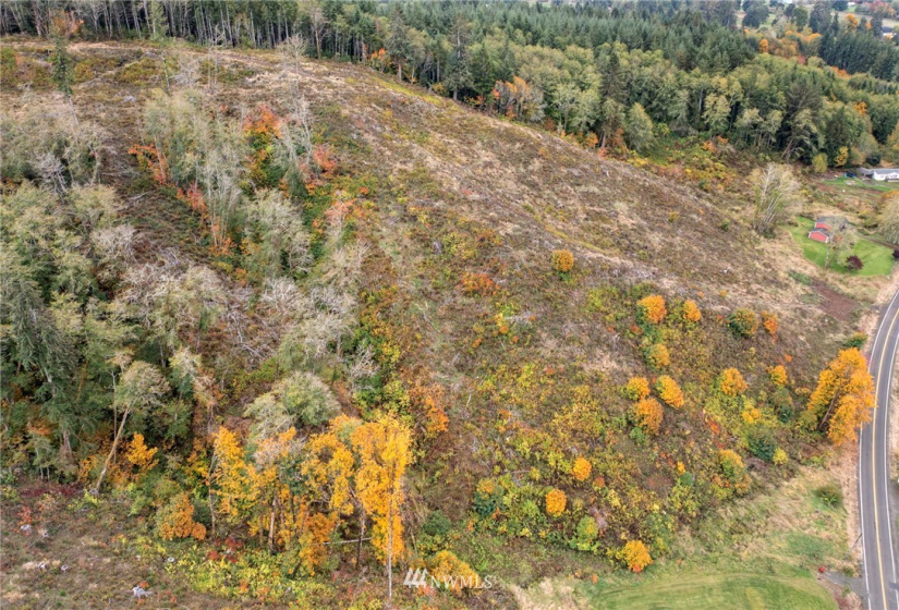 1941 Bloomhardt, Raymond, Washington 98577, ,Land,For Sale,Bloomhardt,NWM1855785