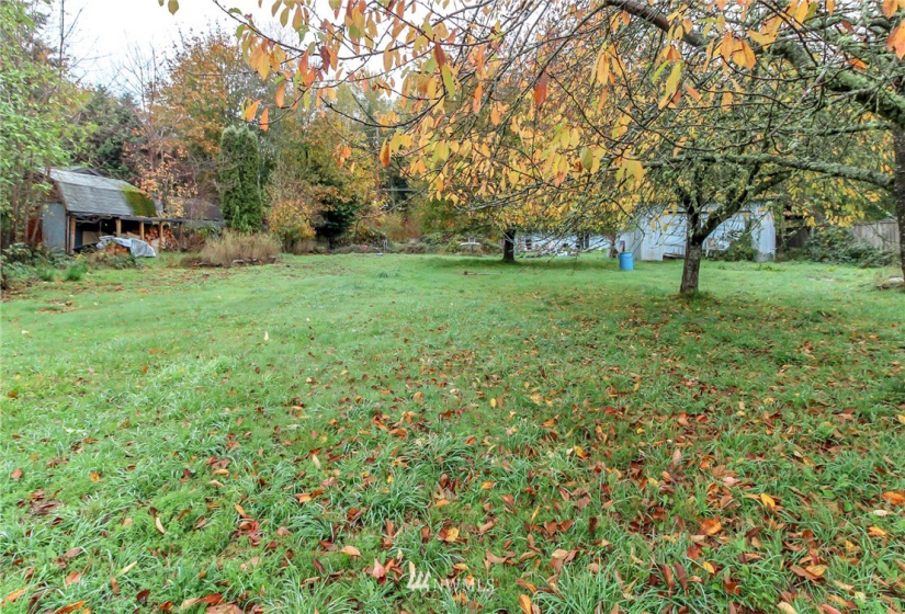 13012 144th, Puyallup, Washington 98374, 3 Bedrooms Bedrooms, ,1 BathroomBathrooms,Residential,For Sale,Alderwood Estates,144th,NWM1856682