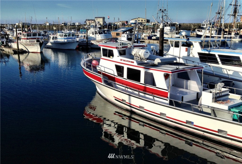 1600 Ocean, Westport, Washington 98595, 1 Bedroom Bedrooms, ,1 BathroomBathrooms,Residential,For Sale,WESTPORT BY THE SEA,Ocean,NWM1855407