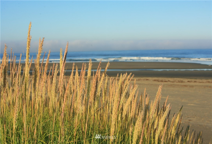 1600 Ocean, Westport, Washington 98595, 1 Bedroom Bedrooms, ,1 BathroomBathrooms,Residential,For Sale,WESTPORT BY THE SEA,Ocean,NWM1855407