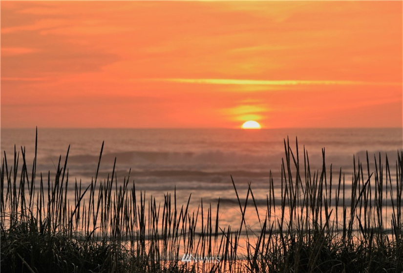 1600 Ocean, Westport, Washington 98595, 1 Bedroom Bedrooms, ,1 BathroomBathrooms,Residential,For Sale,WESTPORT BY THE SEA,Ocean,NWM1855407