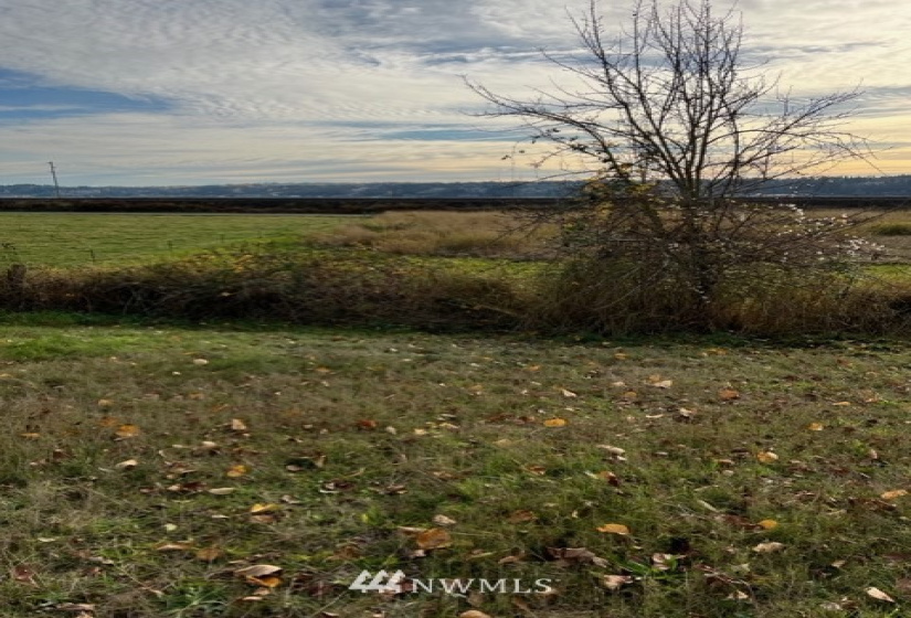 6025 Lowell Snohomish River, Snohomish, Washington 98296, ,Land,For Sale,Fiddler's Bluff,Lowell Snohomish River,NWM1856469