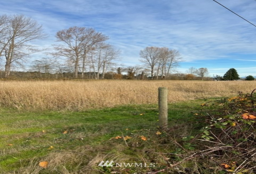 6025 Lowell Snohomish River, Snohomish, Washington 98296, ,Land,For Sale,Fiddler's Bluff,Lowell Snohomish River,NWM1856469