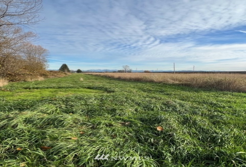 6025 Lowell Snohomish River, Snohomish, Washington 98296, ,Land,For Sale,Fiddler's Bluff,Lowell Snohomish River,NWM1856469