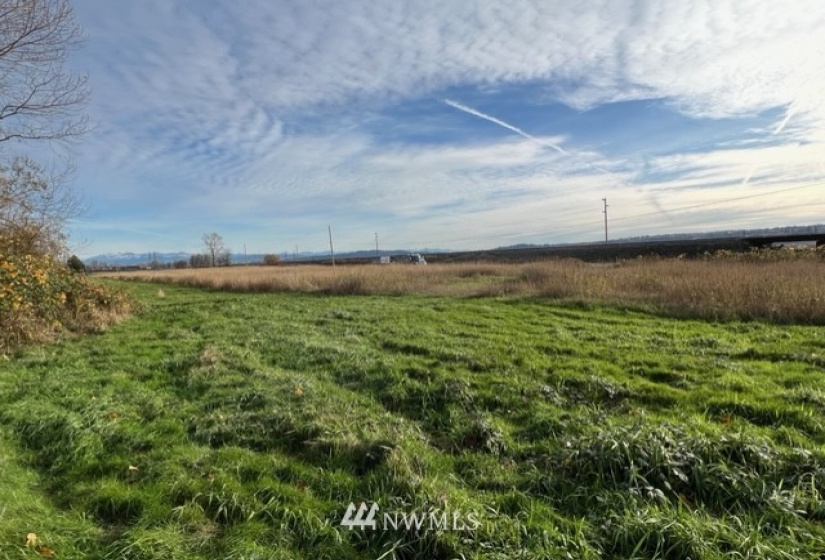 6025 Lowell Snohomish River, Snohomish, Washington 98296, ,Land,For Sale,Fiddler's Bluff,Lowell Snohomish River,NWM1856469