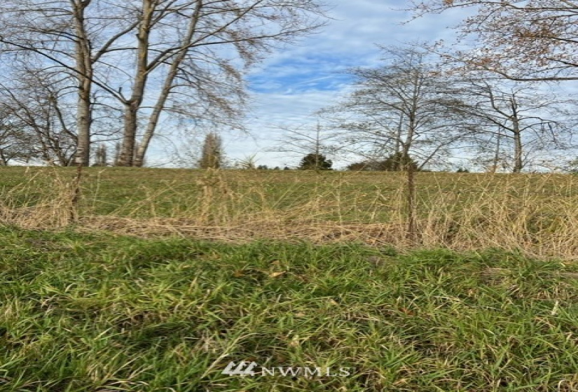 6025 Lowell Snohomish River, Snohomish, Washington 98296, ,Land,For Sale,Fiddler's Bluff,Lowell Snohomish River,NWM1856469