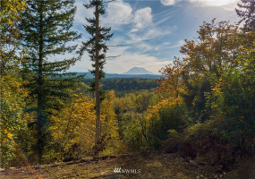 0 XX 249th, Orting, Washington 98360, ,Land,For Sale,Saddlebrook,XX 249th,NWM1856509